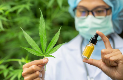 Reasons Why CBD Oil Is Not Working Effectively For You