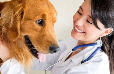 A Healthier World For Pets: The Positive Impact Of Veterinary Services